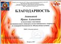 Благодарность за подготовку участников муниципального конкурса детско-юношеского творчества по пожарной безопасности "Неопалимая купина" Благодарность за подготовку участников муниципального конкурса детско-юношеского творчества по пожарной безопасности "Неопалимая купина"